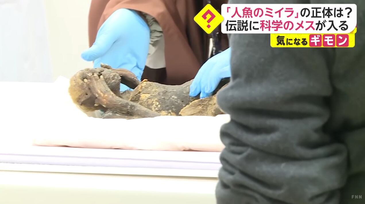 El templo budista señaló que seguirá cuidando de la criatura.