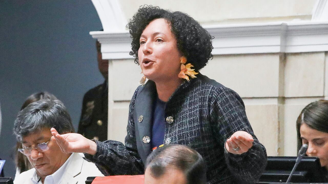 Isabel Zuleta Senadora 