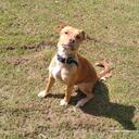 Por el grave ataque del que fue víctima ‘Canelo’, la Fiscalía logró sentencia condenatoria contra el agresor.