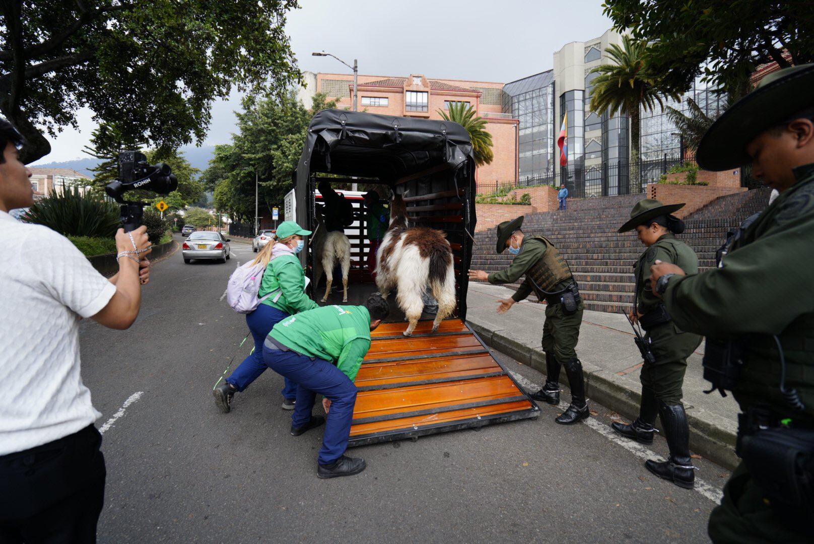 El operativo culminó en el hallazgo de Luna junto a otra llama, en condiciones precarias.