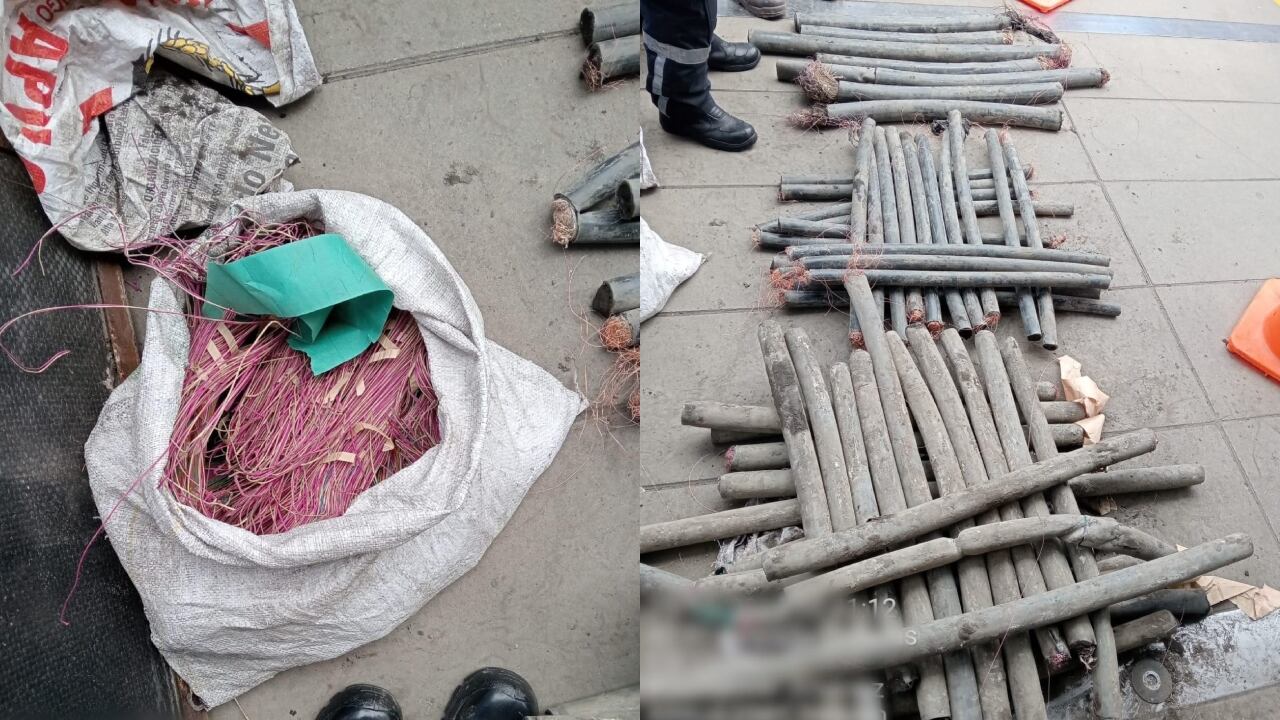 Parte del material hallado