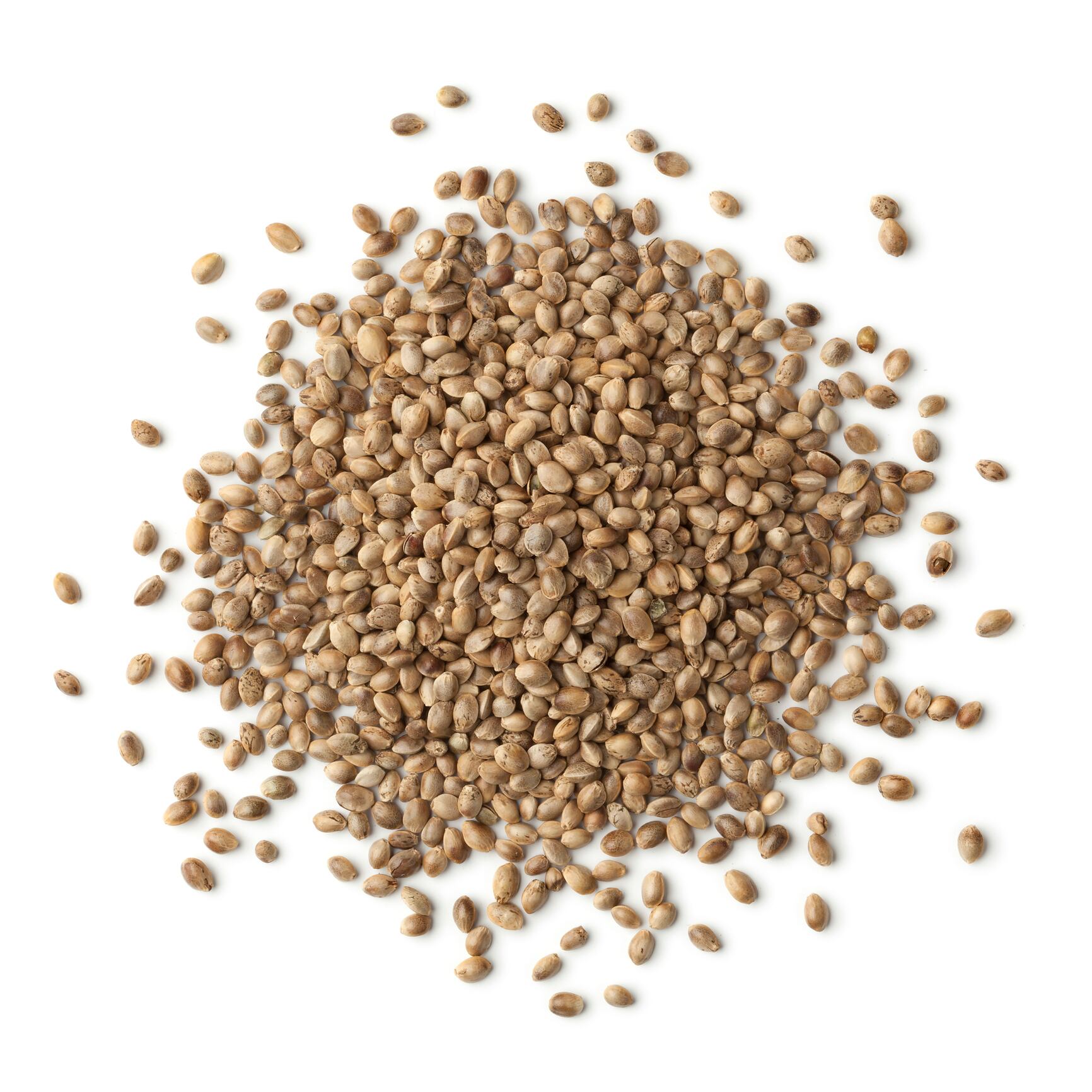 Heap of unshelled hemp seeds on white background