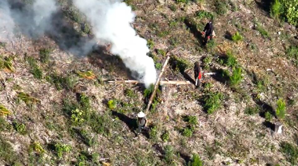 Las invasiones se reportaron en la zona rural del municipio de Cajibío.