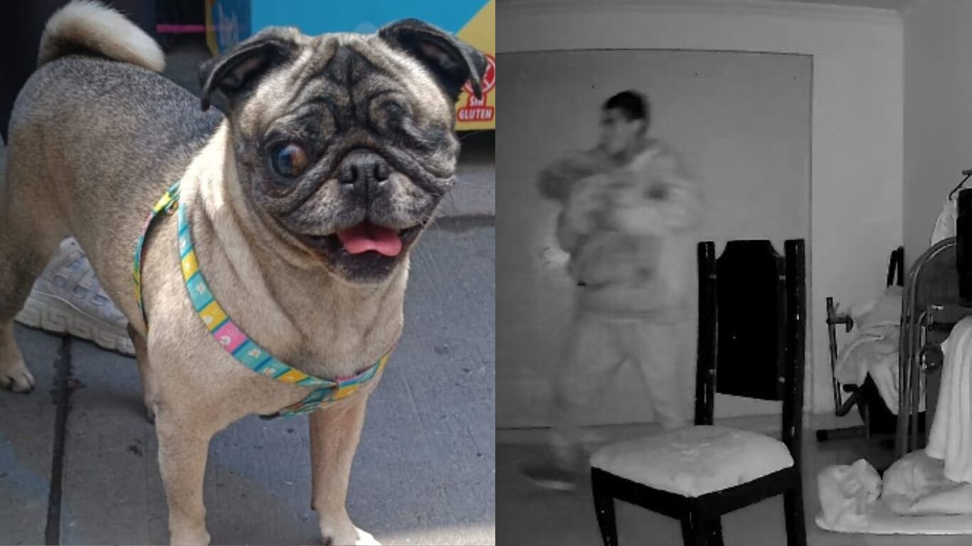 El asalto quedó captado en video por cámaras de seguridad.