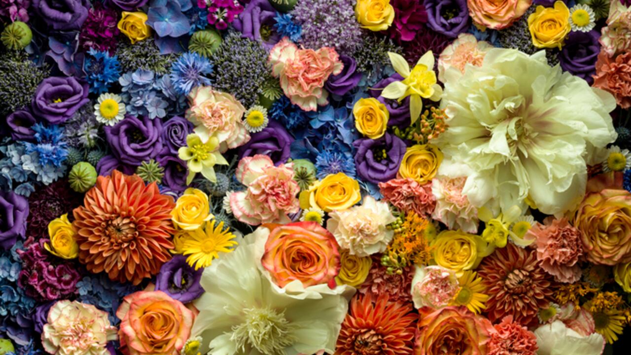 flores