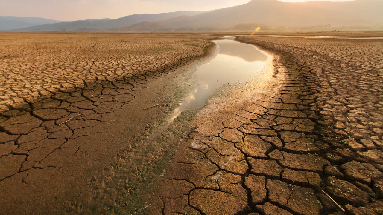 Sequía / Fenómeno del El Niño