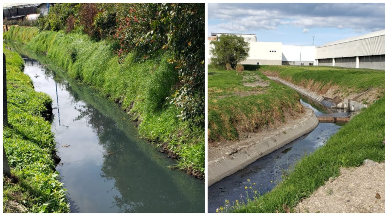 La contaminación de la Chucua es producto de vertimientos y descargas de aguas residuales de algunas industrias de Tocancipá.