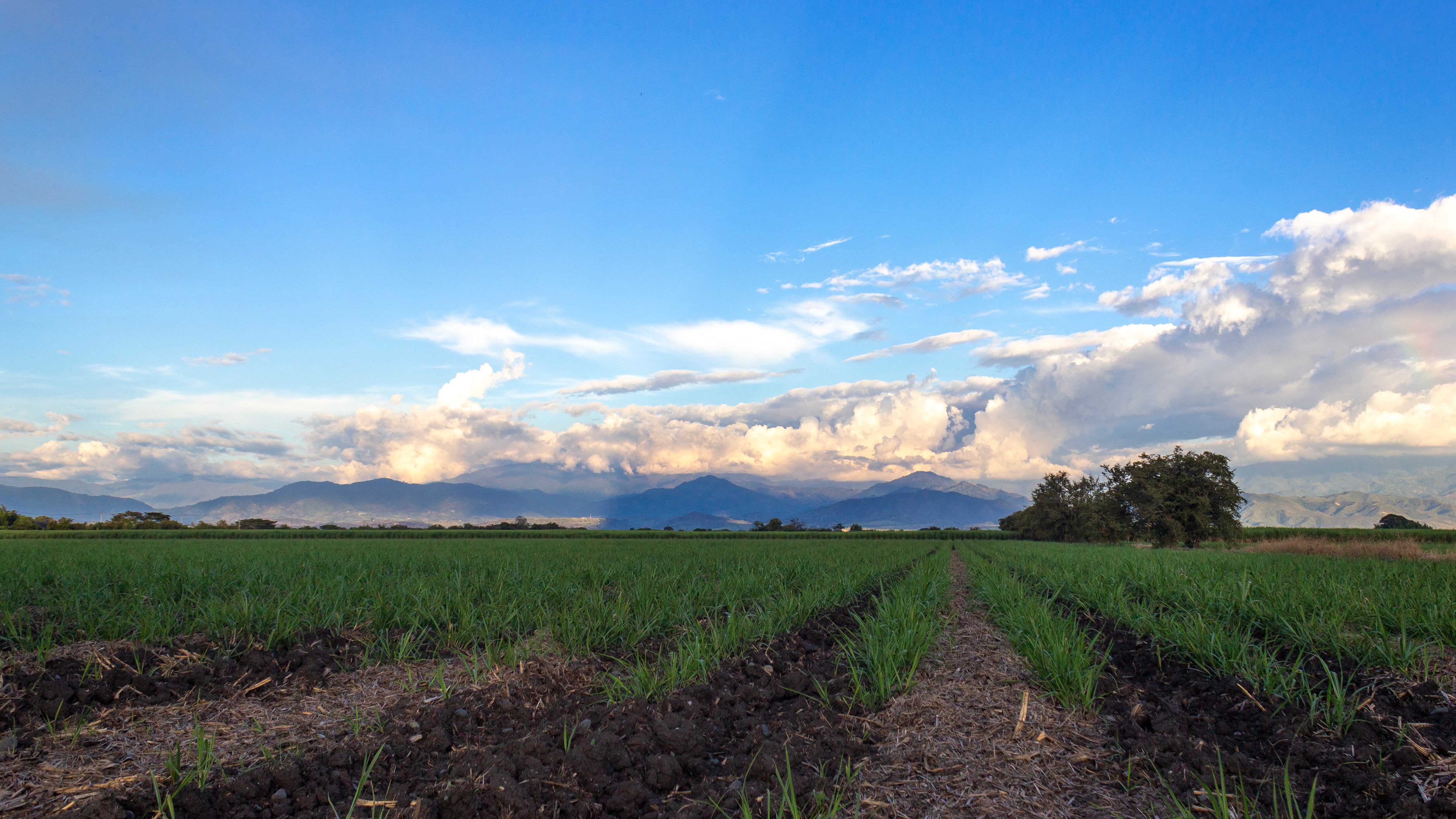 En Jamundí, Valle, la industria azucarera demanda la seguridad de los ingenios sus trabajadores.