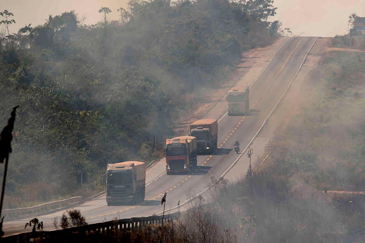El calor pone en jaque la seguridad alimentaria debido a los efectos sobre los cultivos. Foto: Andre Penner / AP 