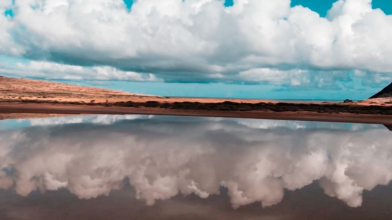 La Alta Guajira es una de las regiones del país más apetecidas por los viajeros para realizar avistamiento de especies y practicar deportes extremos.