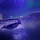 A penguin swims in an enclosure housing gentoo and chinstrap penguins at Mexico City's Inbursa Aquarium on Jan. 13, 2021. (AP Photo/Rebecca Blackwell)