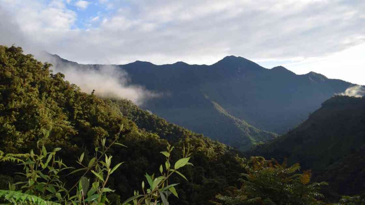 Serranía El Pinche, Cauca.