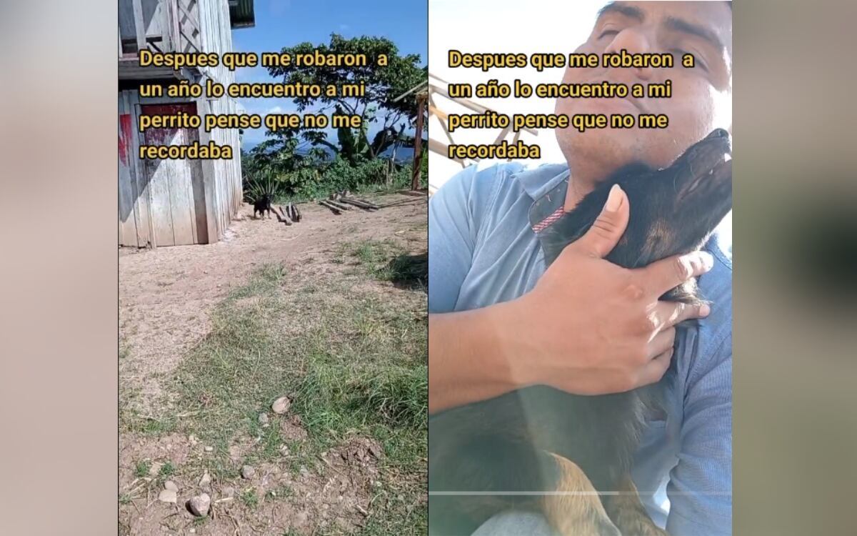 Fotograma 1.22 DESPUES QUE ME ROBARON MI PERRITO LO ENCONTRE Tik Tok @abelmorpazz/