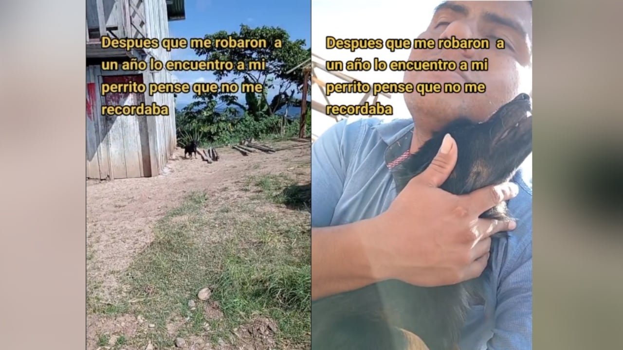 Hace aproximadamente un año se lo habían robado, pero no olvidó a su dueño.