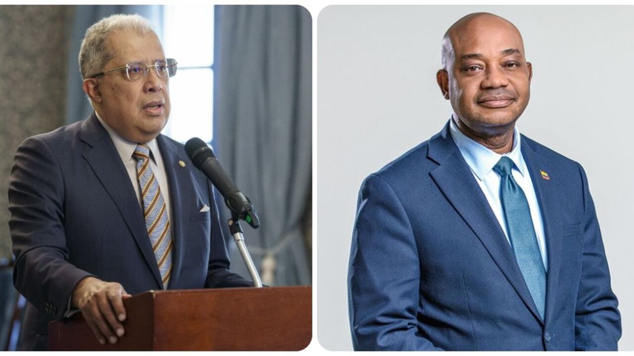 Francisco Coy y Luis Gilberto Murillo.