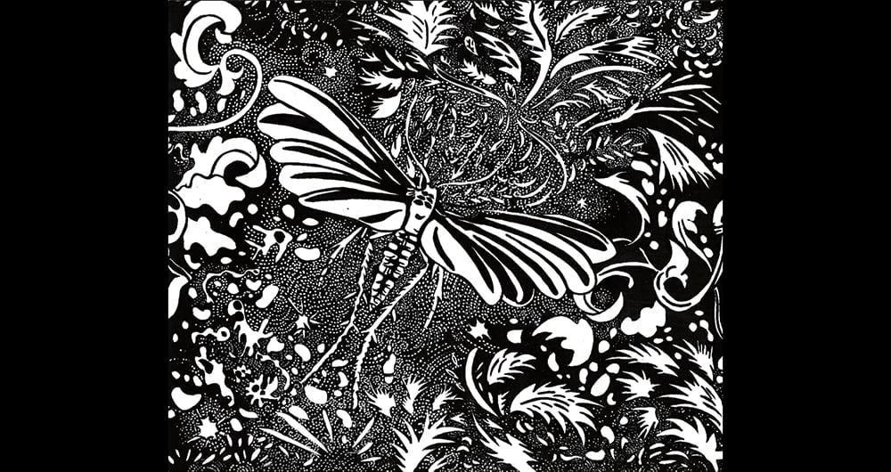 María Isabel Rueda, Sin Título, 2025