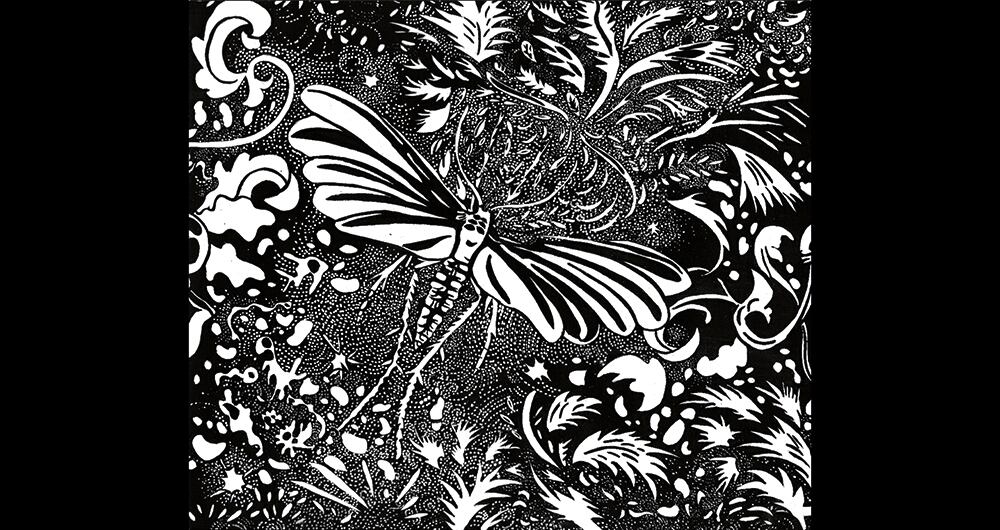 María Isabel Rueda, Sin Título, 2025