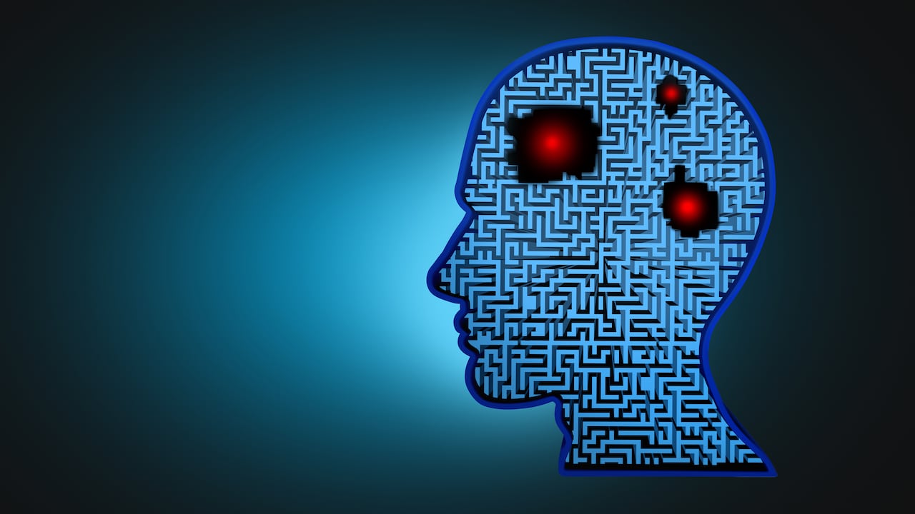 Foto de referencia sobre el cerebro