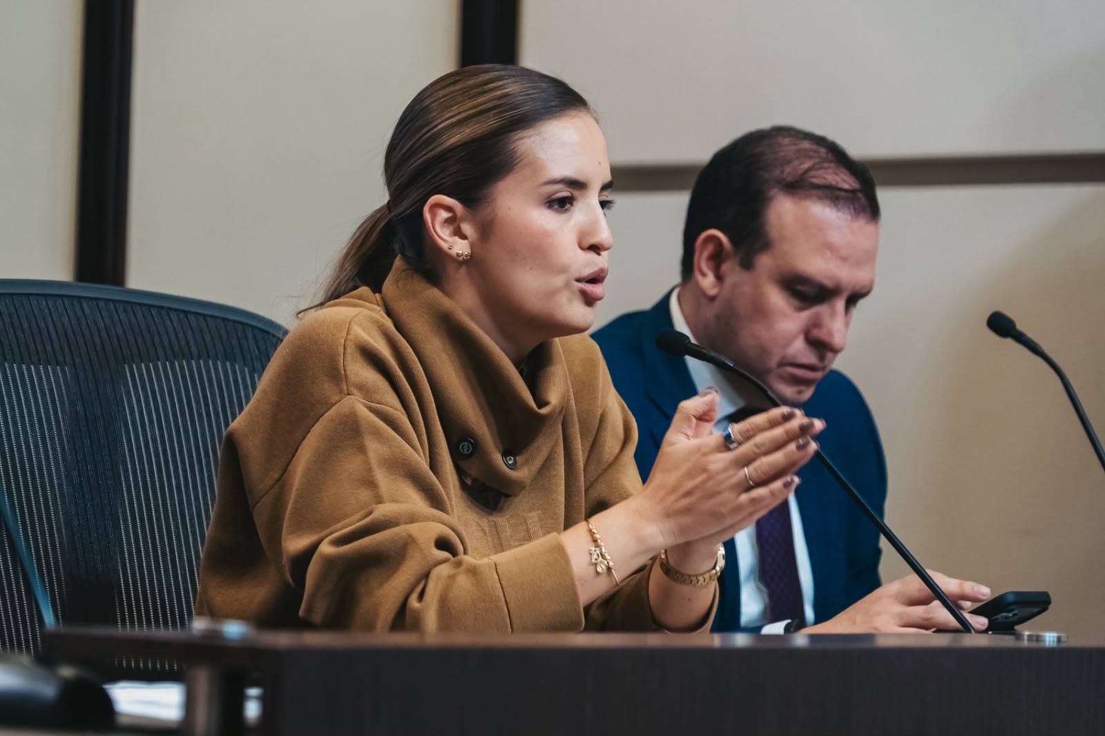 Comisión de la frontera con Venezuela
