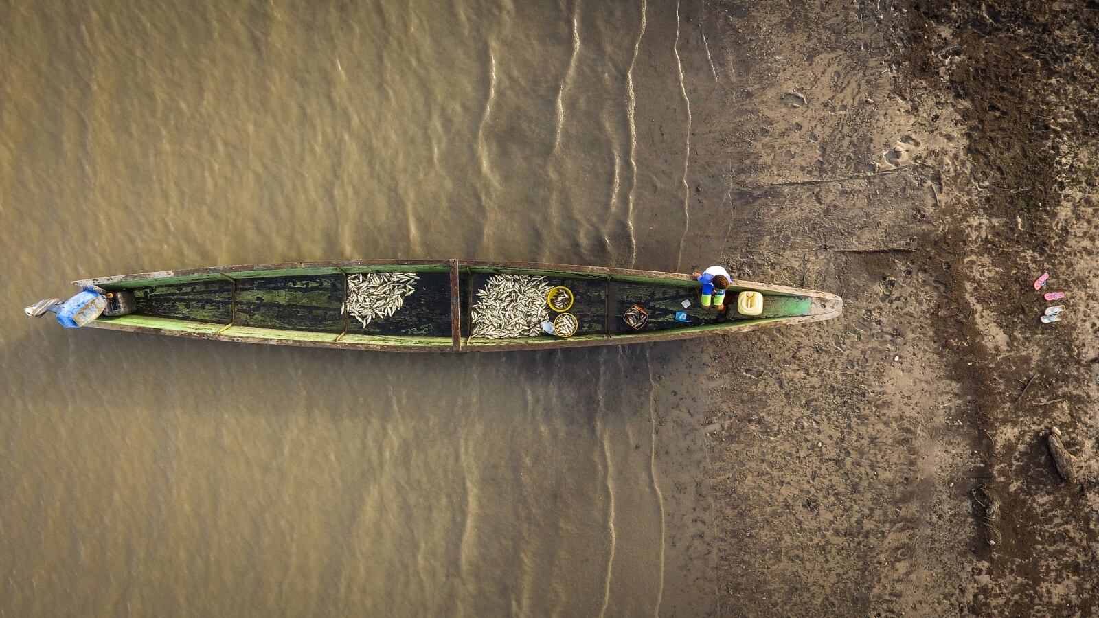 La Autoridad Nacional de Acuicultura y Pesca–AUNAP ha caracterizado 2.700 acuicultores artesanales en el país dentro de más de 300.000 pescadores del territorio nacional.
