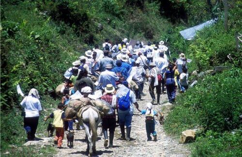 Entre 1997 y 2001 el departamento pasó de tener 3.758 desplazados a 75.749. Ese número se redujo en el 2002 a 52.271, para un total de 226.646 desplazados en seis años. 