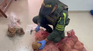 Dosis de cocaína eran transportadas en cocos.