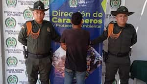 Hombre tras ser capturado por maltrato animal.