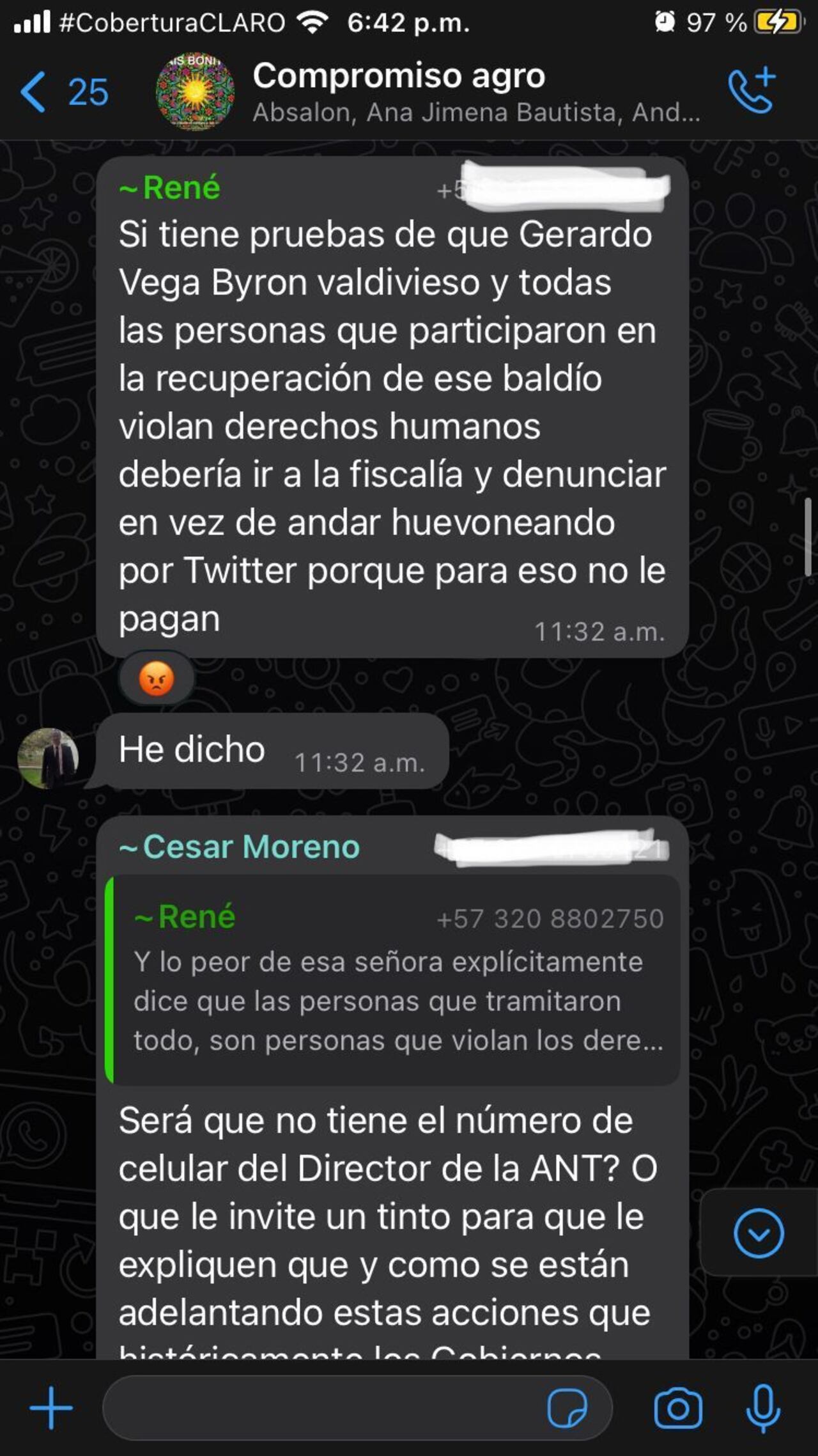 Chat