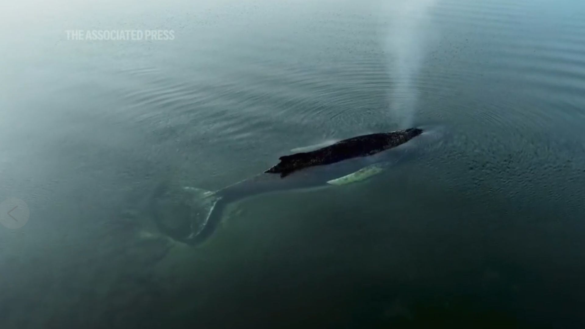 Aunque fue liberada inicialmente, volvió a quedar atrapada en otra zona.