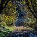 El hombre habría sumergido a su madre en contra de su voluntad durante 10 minutos