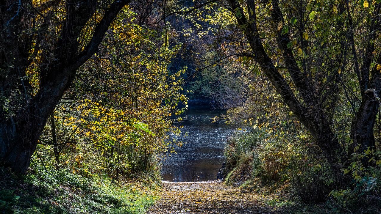 El hombre habría sumergido a su madre en contra de su voluntad durante 10 minutos