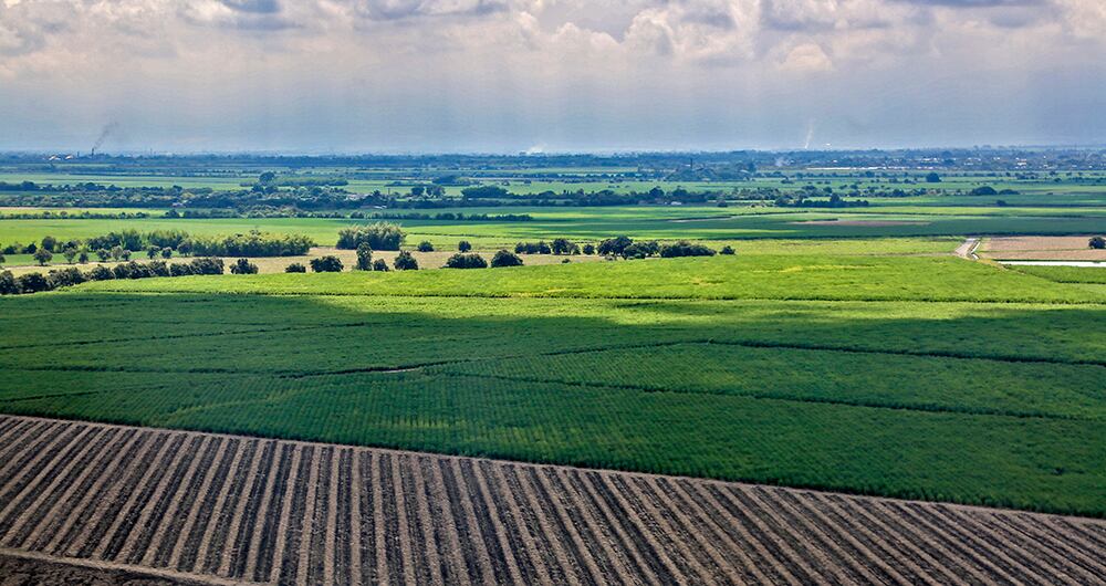 Los enredos de esas tierras quedaron consignados en el Auto 7525 de la ANT de noviembre de 2020. 