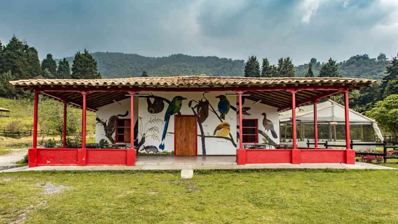 En la reserva La Romera se encuentran 153 especies de mamíferos, 31 de aves y diez de anfibios.