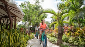 Paseos en bicicleta