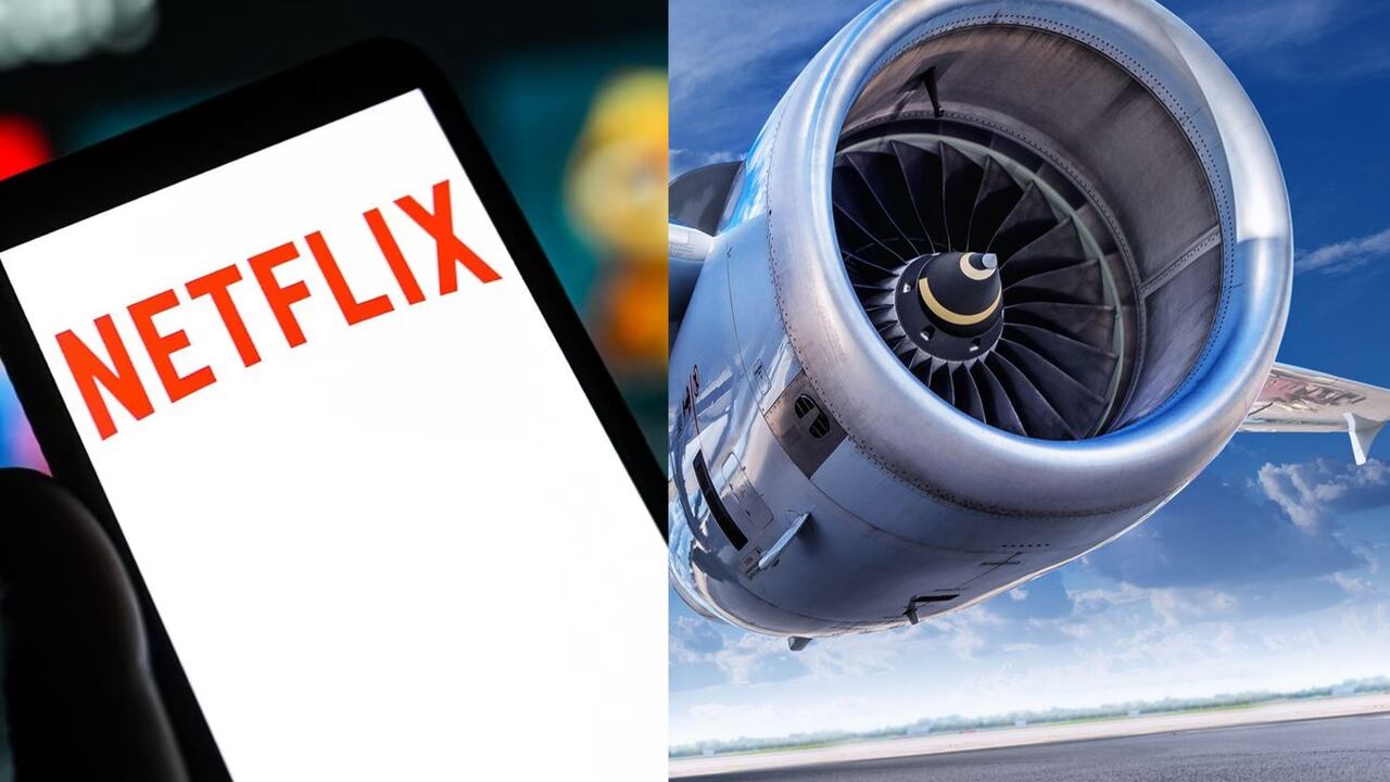 La compañía de streaming dio a conocer los requisitos para contratar sus asistentes de vuelo.