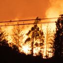 En 2022, la región de Valparaiso también sufrió duros incendios que consumieron grandes hectáreas de bosque