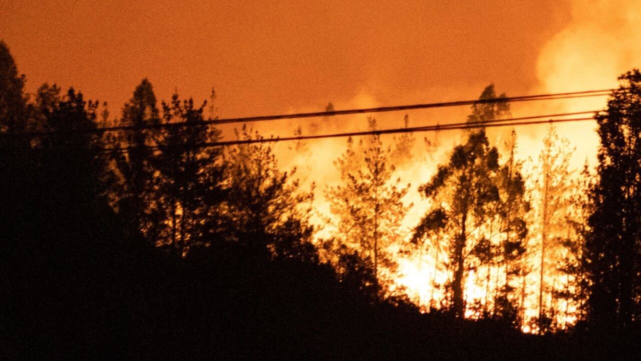 En 2022, la región de Valparaiso también sufrió duros incendios que consumieron grandes hectáreas de bosque