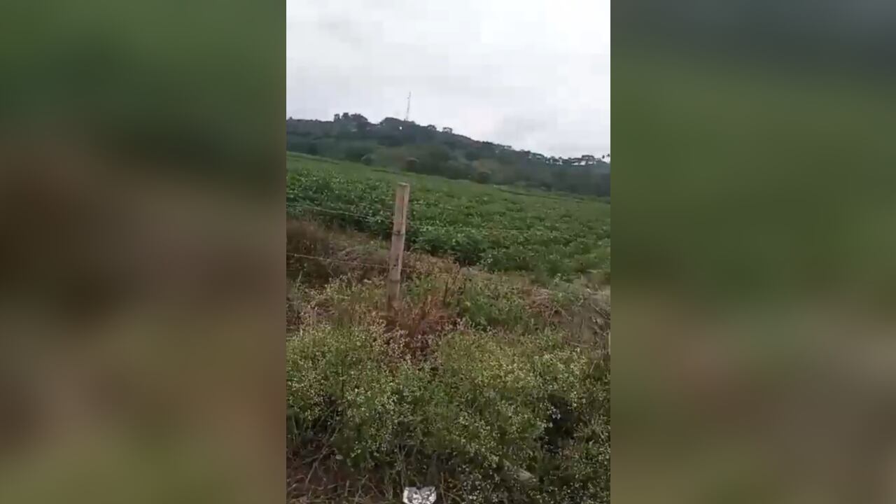 Esta sería la zona en la que encontraron el cuerpo de Diego.