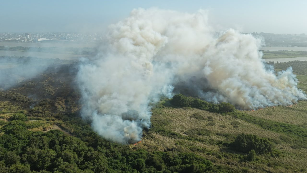 Incendio en Parque Isla Salamanca afecta calidad del aire en Barranquilla.
