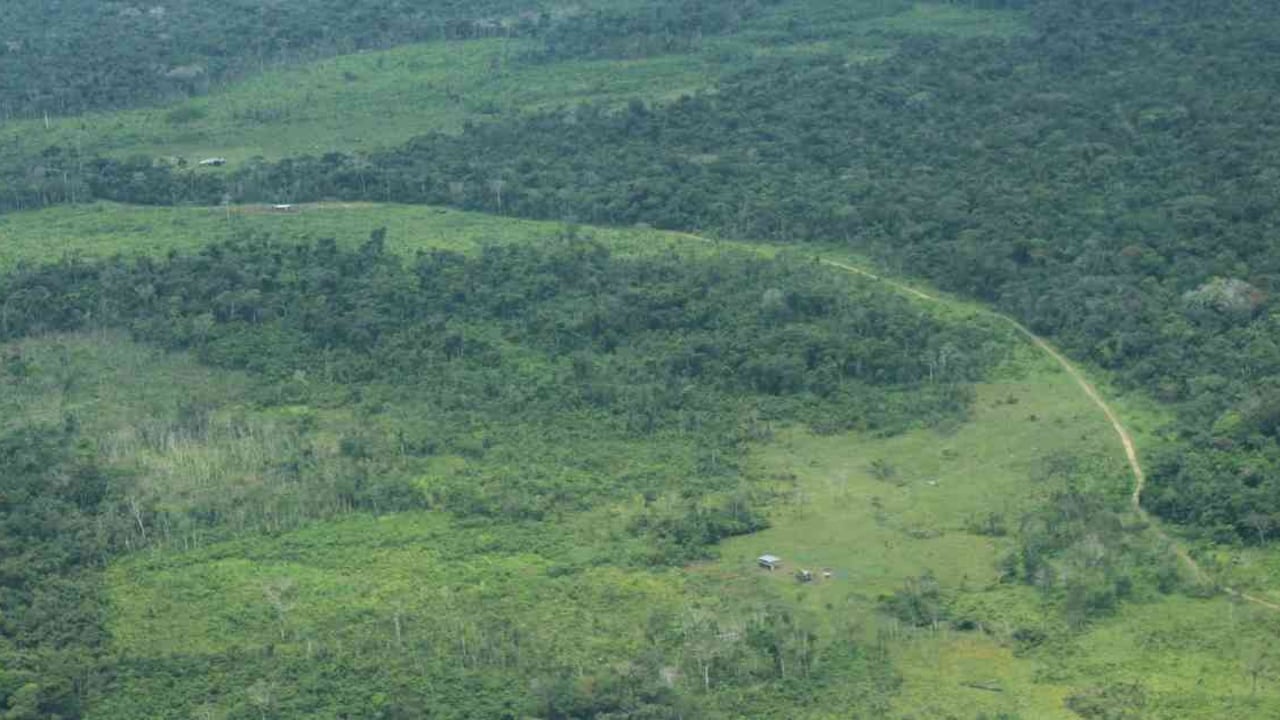 La Amazonia sigue como la región más deforestada en Colombia. Foto: Jhon Barros.