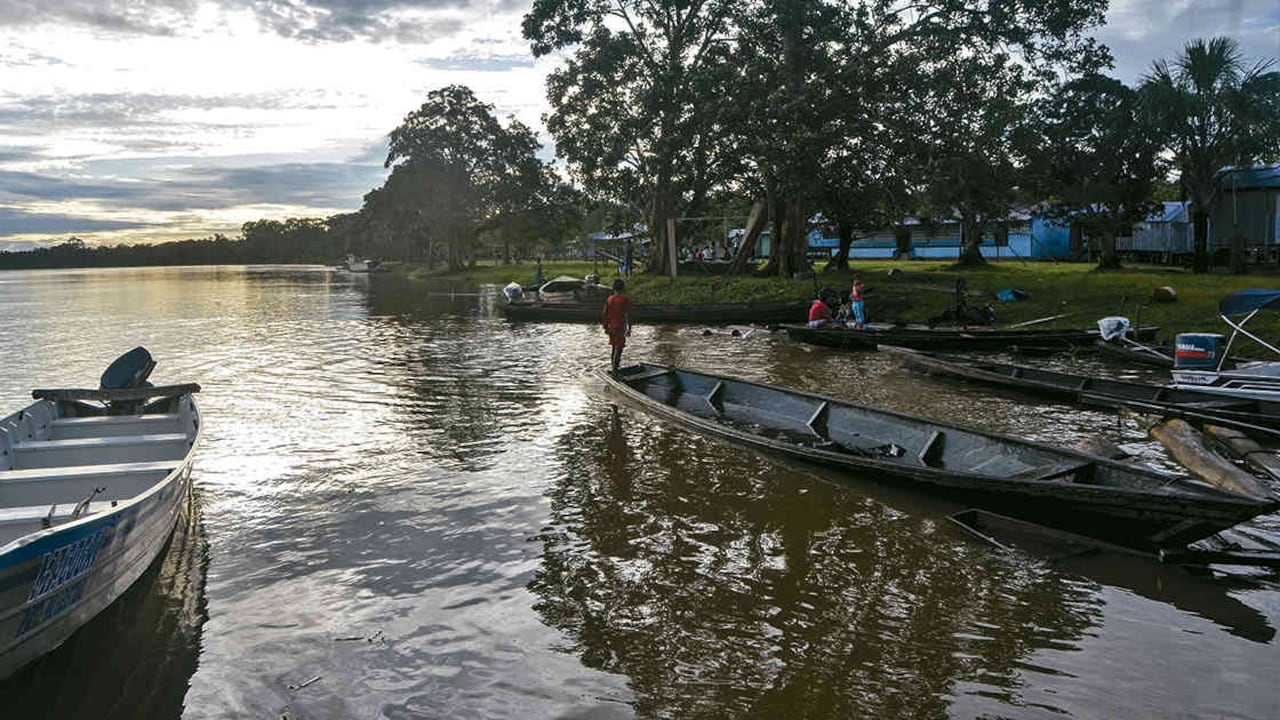 Fotos: Pablo de Narváez/WWF