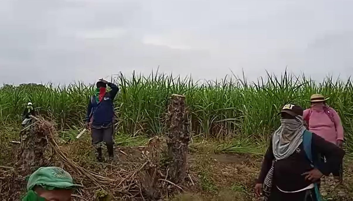 Cauca - invasión de tierras