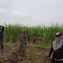 Cauca - invasión de tierras