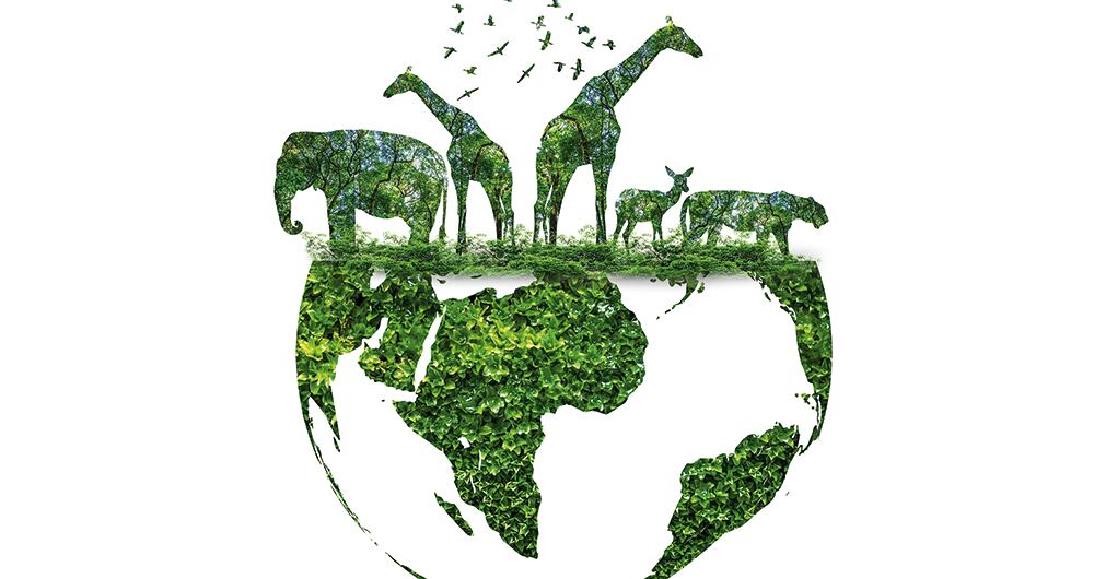 El hidrógeno representará el 35 por ciento del consumo energético en Reino Unido