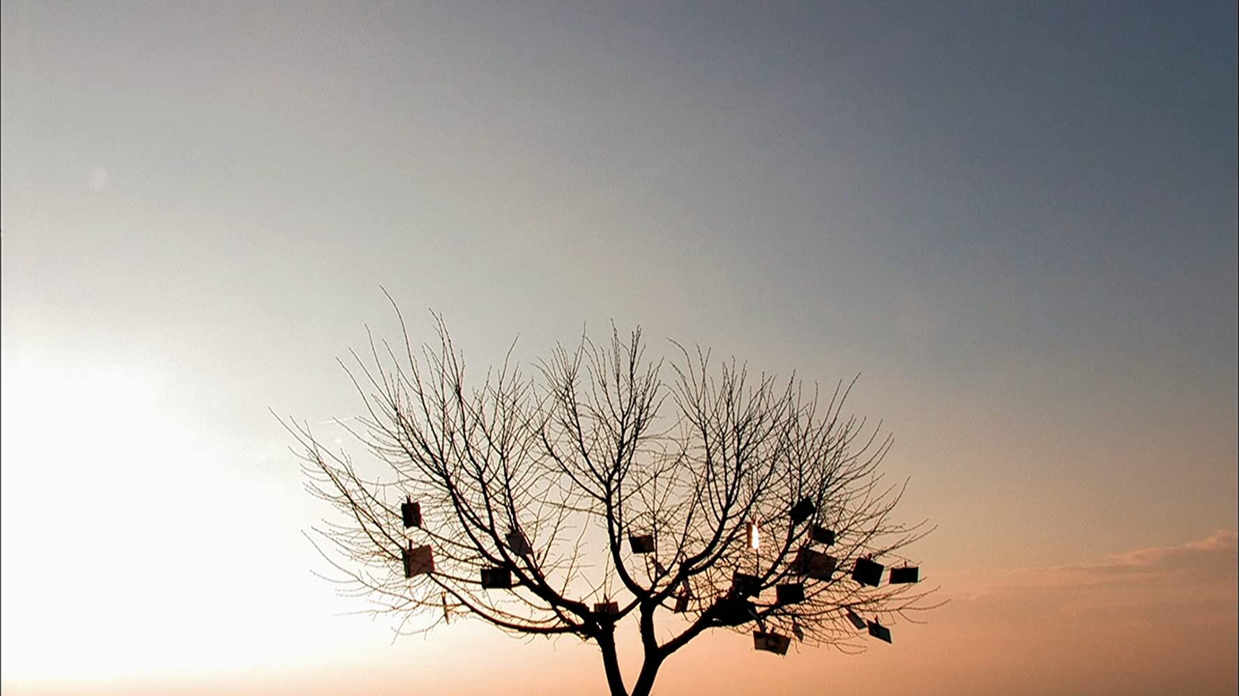 Diário de Sintra (Paula Gaitán, 2007) Brasil. 90 min.