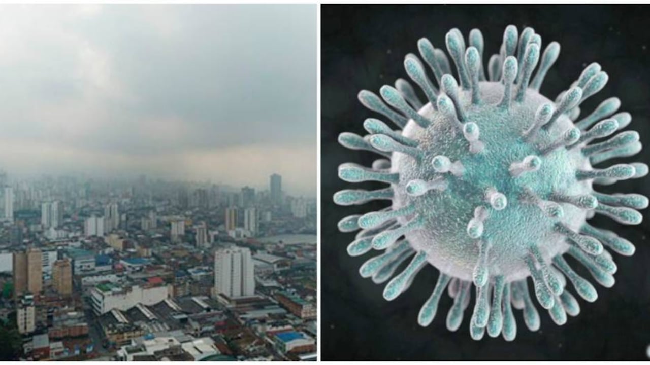 Desde enero la calidad del aire se encuentra en un rango dañino para la salud.