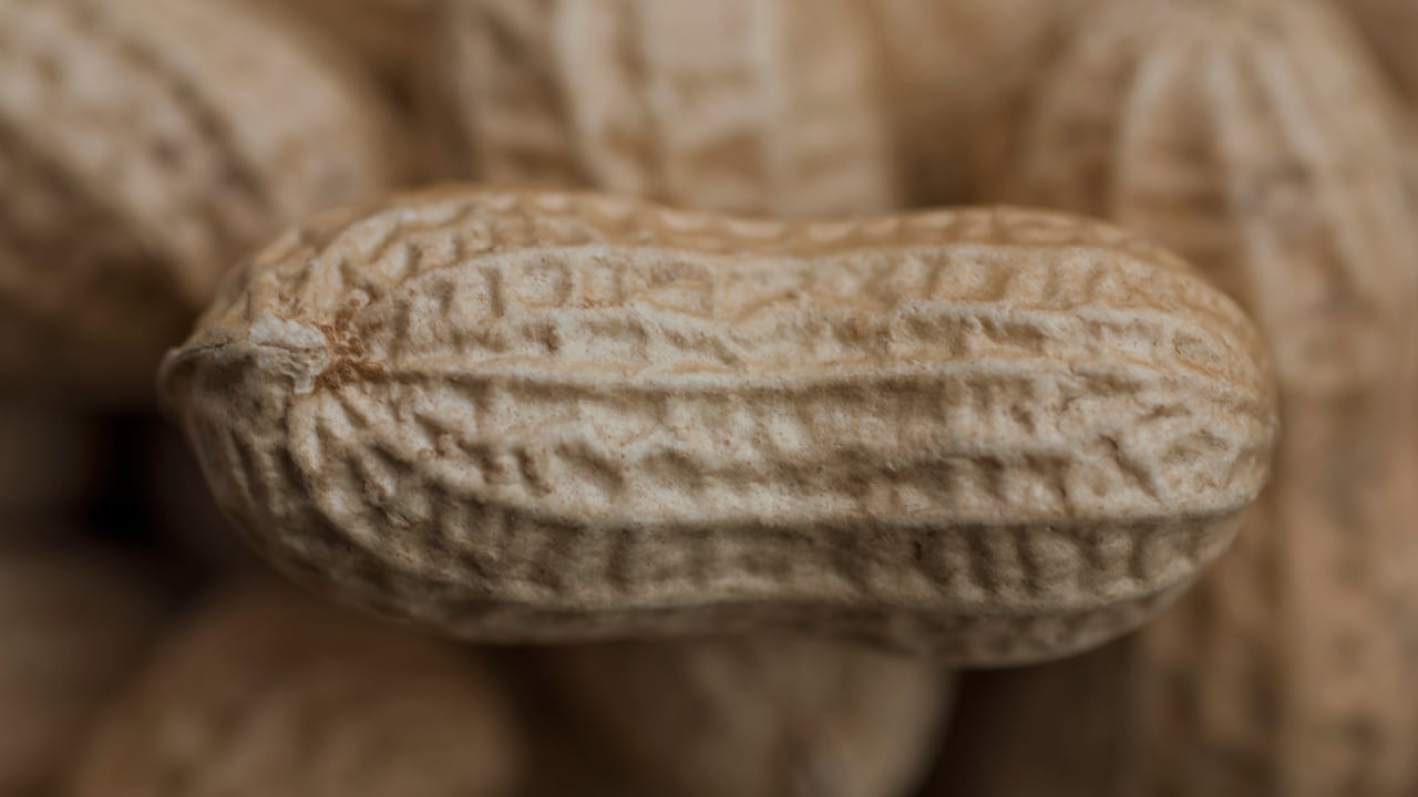 El consumo de cacahuete tiene muchos beneficios.