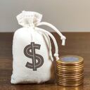 Bolsa con símbolo de dólar y monedas. Concepto de seguridad del dinero, depósitos garantizados. Protección de los derechos del cliente. Compensación por pérdidas en inflación, capital de inversión salvaguardado.