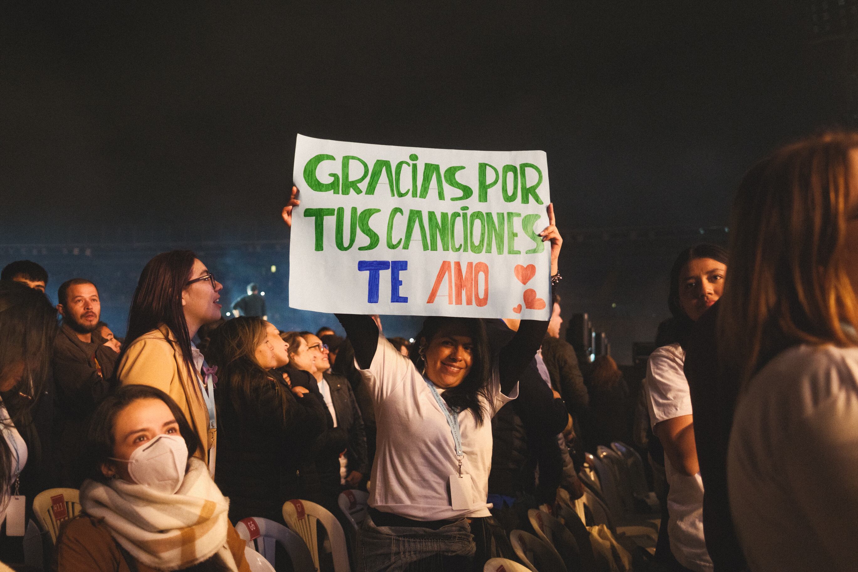 Nada se compara al concierto de un artista que se adora y del que se conocen letras y canciones. El asunto, es asegurar la entrada que lo permita.
