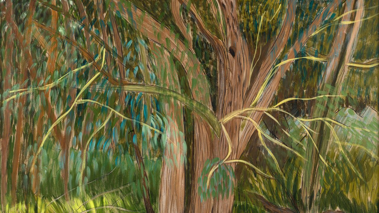 Margarita Lozano - "Entre Naturalezas"